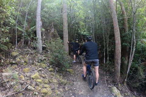 Explore Downhill Mountain In 3-Hour Bike Tour From Hobart - Yamba Accommodation 4