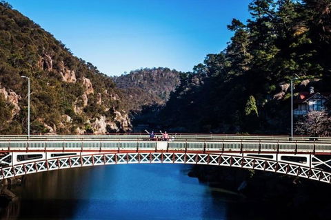 3.5 Hours Walking Tour To Cataract Gorge With Local Guide - Yamba Accommodation 4
