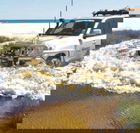 Full-Day Moreton Island 4x4 Sightseeing Tour - Yamba Accommodation