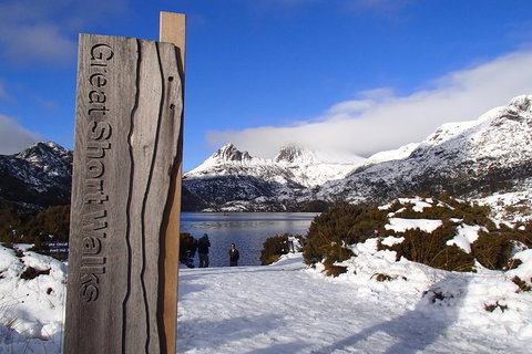 Cradle Mountain Active Day Trip From Launceston - Yamba Accommodation 3