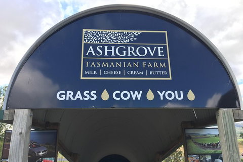 Cradle Mountain Active Day Trip From Launceston - Yamba Accommodation 4