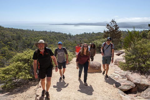 3-Day Tasmania Combo: Launceston To Hobart Active Tour Including Cradle Mountain, Freycinet National Park And Port Arthur - Yamba Accommodation 5