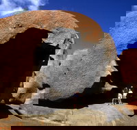 Full-Day Kangaroo Island Safari from Penneshaw - Yamba Accommodation