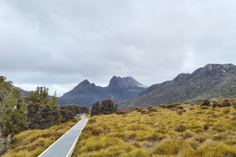 Cradle Mountain National Park Day Tour From Launceston - Yamba Accommodation 2