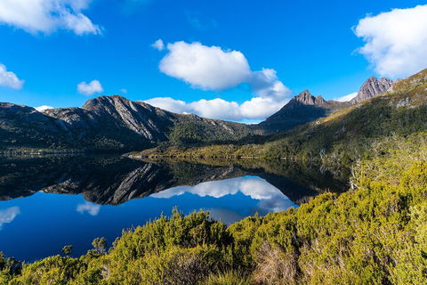 Cradle Mountain National Park Day Tour From Launceston - Yamba Accommodation 3