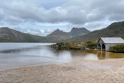 Cradle Mountain National Park Day Tour From Launceston - Yamba Accommodation 4
