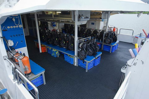 Silverswift Outer Great Barrier Reef Dive And Snorkel Cruise From Cairns - Yamba Accommodation 0