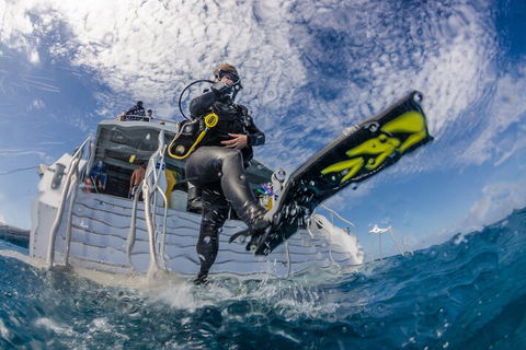 Silverswift Outer Great Barrier Reef Dive And Snorkel Cruise From Cairns - Yamba Accommodation 1