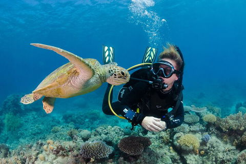 Silverswift Outer Great Barrier Reef Dive And Snorkel Cruise From Cairns - Yamba Accommodation 2