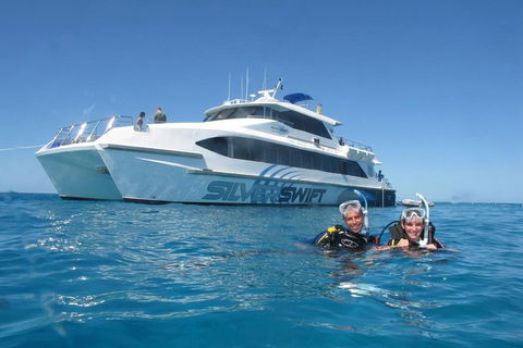 Silverswift Outer Great Barrier Reef Dive And Snorkel Cruise From Cairns - Yamba Accommodation 4