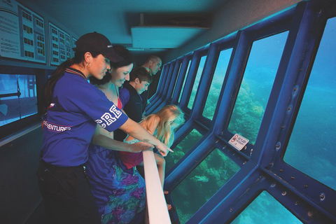 Great Barrier Reef Adventure From Cairns - Yamba Accommodation 0