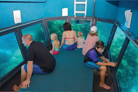 Great Barrier Reef Adventure From Cairns - Yamba Accommodation 1