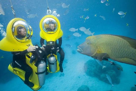 Great Barrier Reef Adventure From Cairns - Yamba Accommodation 2