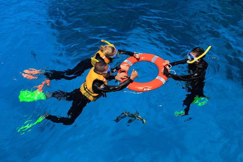 Great Barrier Reef Adventure From Cairns - Yamba Accommodation 3