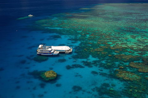 Great Barrier Reef Adventure From Cairns - Yamba Accommodation 4