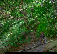 Green Island Eco Adventure from Cairns - Yamba Accommodation