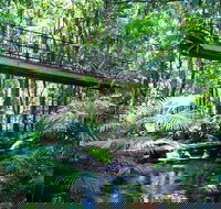 Double Pack-Ancient Rainforest and Waterfalls - Yamba Accommodation