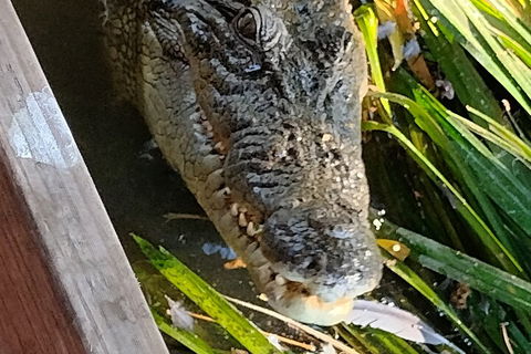 Litchfield Park Adventures And Jumping Crocodile Cruise + Butterfly Farm - Yamba Accommodation 1