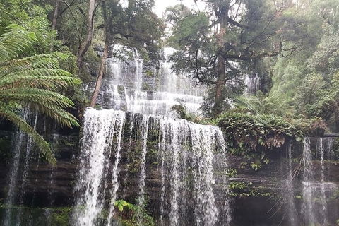 6-Day Hearty Tasmania Tour (Tasmania In A Circle) - Yamba Accommodation 0