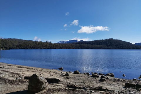 6-Day Hearty Tasmania Tour (Tasmania In A Circle) - Yamba Accommodation 1