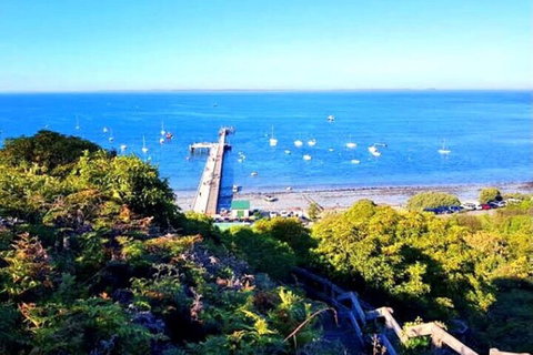 Mornington Peninsula Sightseeing Tour For 2-6 Guests. - Yamba Accommodation 1