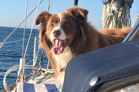 Mornington Peninsula Sightseeing Tour For 2-6 Guests. - Yamba Accommodation 2