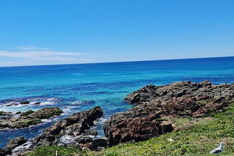 Private Custom Byron Bay Day Out - Yamba Accommodation 4