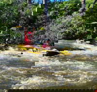 Yarra River Half-Day Rafting Experience - Yamba Accommodation