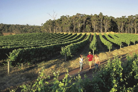 Margaret River, Caves, Wine And Cape Leeuwin Lighthouse Tour From Perth - Yamba Accommodation 1