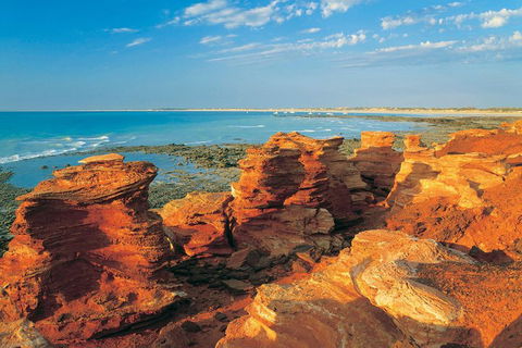 Afternoon Broome Town Tour Including Cable Beach And Matso Beer Tasting - Yamba Accommodation 1