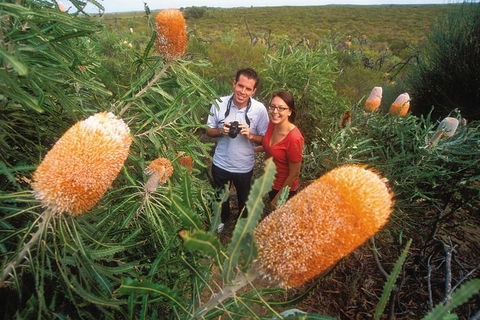 Best Of Perth Wildflower Season Day Trip - Yamba Accommodation 0