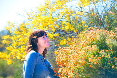 Best Of Perth Wildflower Season Day Trip - Yamba Accommodation 2