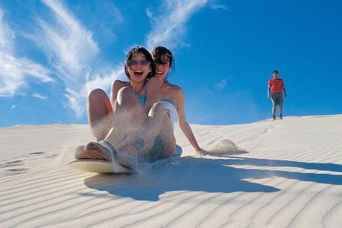 Full Day Pinnacle Desert Explorer From Perth Including Hillarys And Lancelin Sandboarding - Yamba Accommodation 1