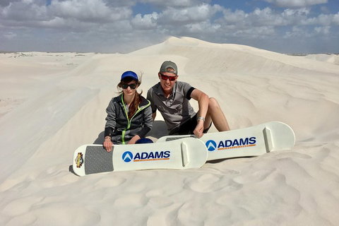 Full Day Pinnacle Desert Explorer From Perth Including Hillarys And Lancelin Sandboarding - Yamba Accommodation 4