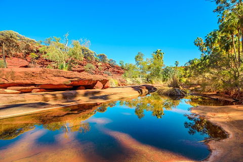 7-Day Guided Tour Of Alice Springs With Accommodation Included - Yamba Accommodation 1