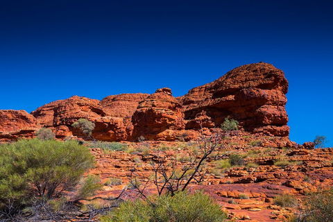 7-Day Guided Tour Of Alice Springs With Accommodation Included - Yamba Accommodation 4