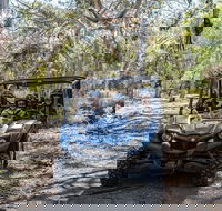 Small-Group Buggy Tour at Little Sahara with Guide - Yamba Accommodation