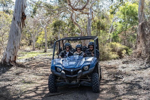 Small-Group Buggy Tour At Little Sahara With Guide - Yamba Accommodation 0
