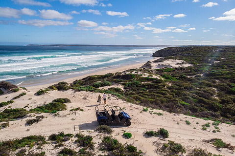 Small-Group Buggy Tour At Little Sahara With Guide - Yamba Accommodation 1