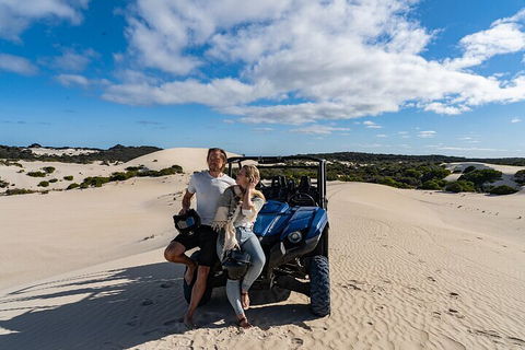 Small-Group Buggy Tour At Little Sahara With Guide - Yamba Accommodation 2