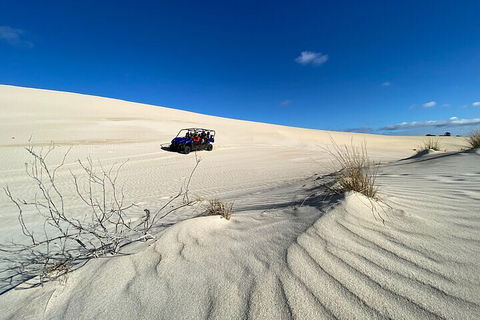 Small-Group Buggy Tour At Little Sahara With Guide - Yamba Accommodation 3