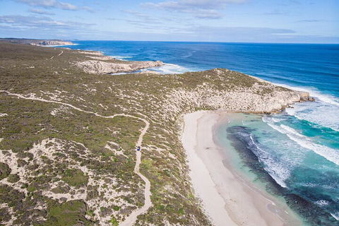 Small-Group Buggy Tour At Little Sahara With Guide - Yamba Accommodation 4