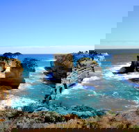 Great Ocean Road Small-Group Ecotour from Melbourne - Yamba Accommodation