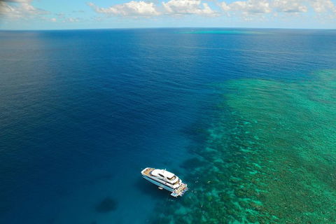 Great Barrier Reef Snorkeling And Diving Cruise From Cairns - Yamba Accommodation 4