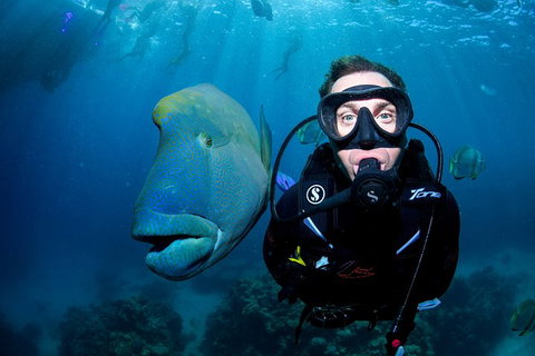 Full Day Reef Cruise Including 10 Minute Heli Scenic Flight: Get High Package - Yamba Accommodation 1