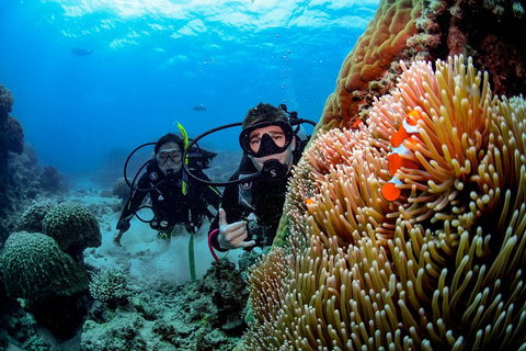 Full Day Reef Cruise Including 10 Minute Heli Scenic Flight: Get High Package - Yamba Accommodation 5