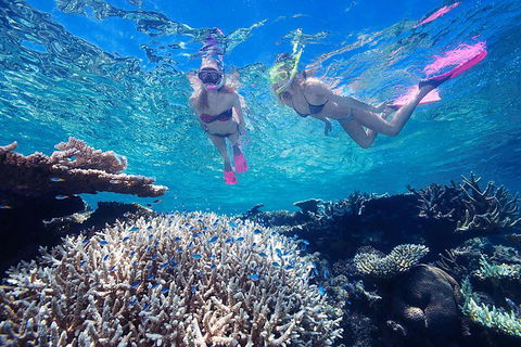Great Barrier Reef Scenic Helicopter Tour And Cruise From Cairns - Yamba Accommodation 3