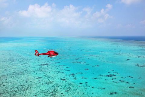 Port Douglas Scenic Flights - Yamba Accommodation 0
