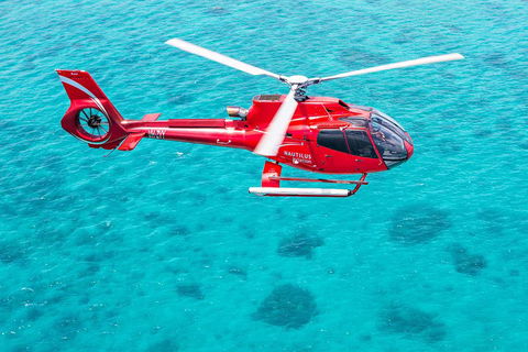 Port Douglas Scenic Flights - Yamba Accommodation 2