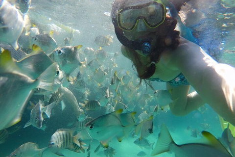 Moreton Island Snorkel And Sandboarding 4WD Day Trip From Brisbane - Yamba Accommodation 3